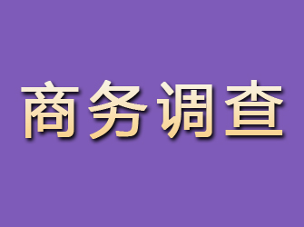 金凤商务调查