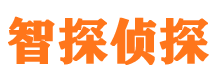 金凤外遇出轨调查取证